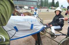 Skolas rikšošanai ar ponijiem Skolas rikšošanai ar ponijiem (Pony trotting schools) ir kļuvušas ļoti popoulāras Zviedrijā un Somijā.