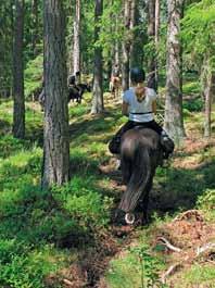 Lauku tūrisms un piedzīvojumi Ösjönäs (Zviedrijā) Ösjönäs, Tivedena aktivitāšu un piedzīvojumu centrs ir aizsargājamu meža teritoriju ieskauts un robežojas ar vienu no