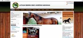 Kā jau minēts iepriekš, viens no mājas lapu veidiem ir mājas lapas, kas izveidotas, lai kalpotu kā informatīvs resurss zirgkobības nozarē iesaistītiem cilvēkiem.
