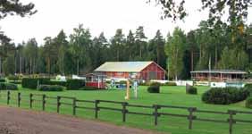 Noturīgas tradīcijas un plaši tīkli: Ypäjä Zirgkopības koledžas piemērs (Somija) Ypäjä Zirgkopības koledža Somijā ir lielisks piemērs gan noturīgām tradīcijām, gan vietējo, reģionālo un starptautisko