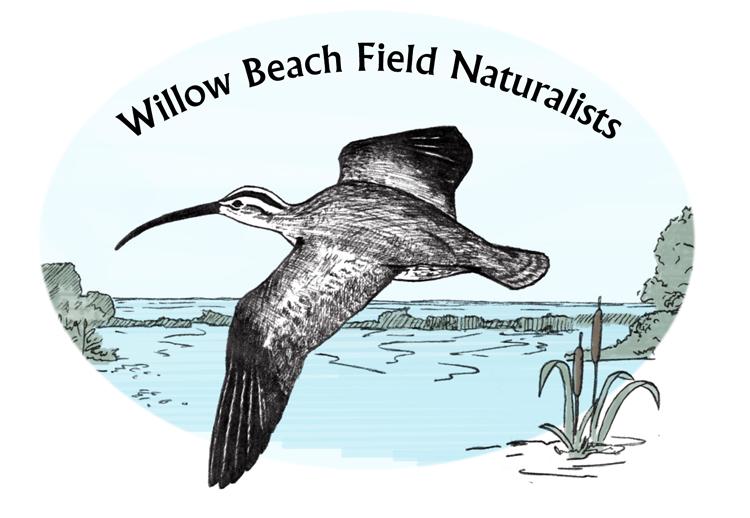 Willow Beach Field Naturalists P.O. Box 421 Port Hope, Ontario L1A 3Z3 www.willowbeachfieldnaturalists.