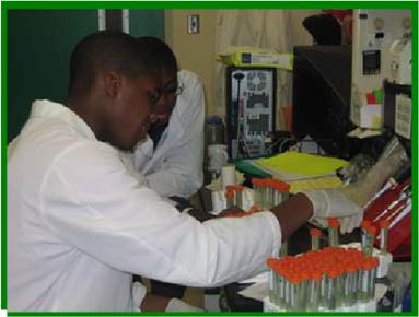 Participant Application WORKING IN THE LAB