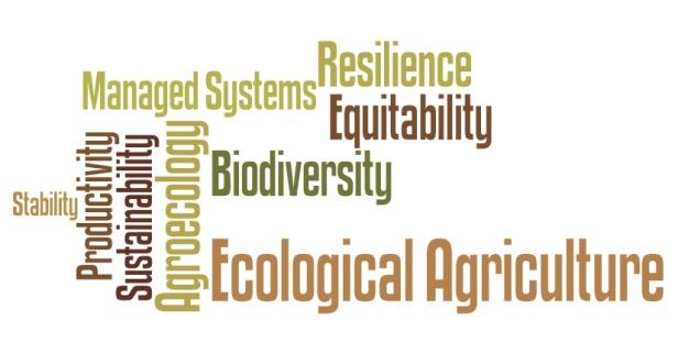 Virginia Tech Ecological Agriculture: Theory and Practice ALS 3404 Fall 2013 Course Overview Presents an overview of historic and modern agricultural practices.