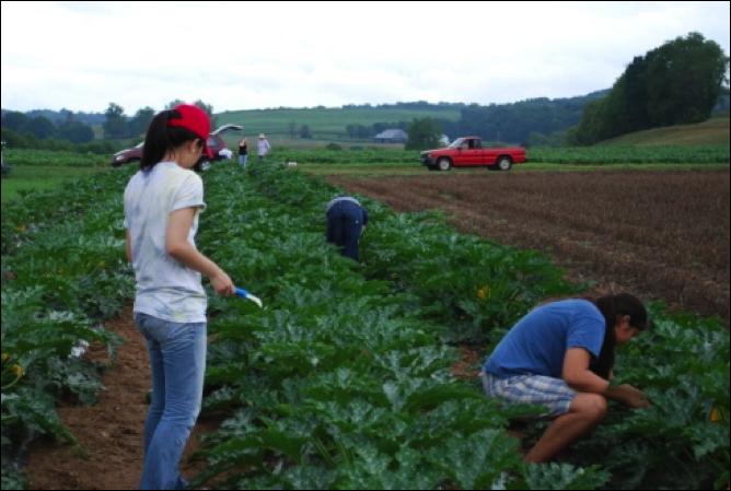 This team is part of a new initiative at Virginia Tech responsible for developing the Civic Agriculture and Food Systems (CAFS) minor in the College of Agriculture and Life Sciences.