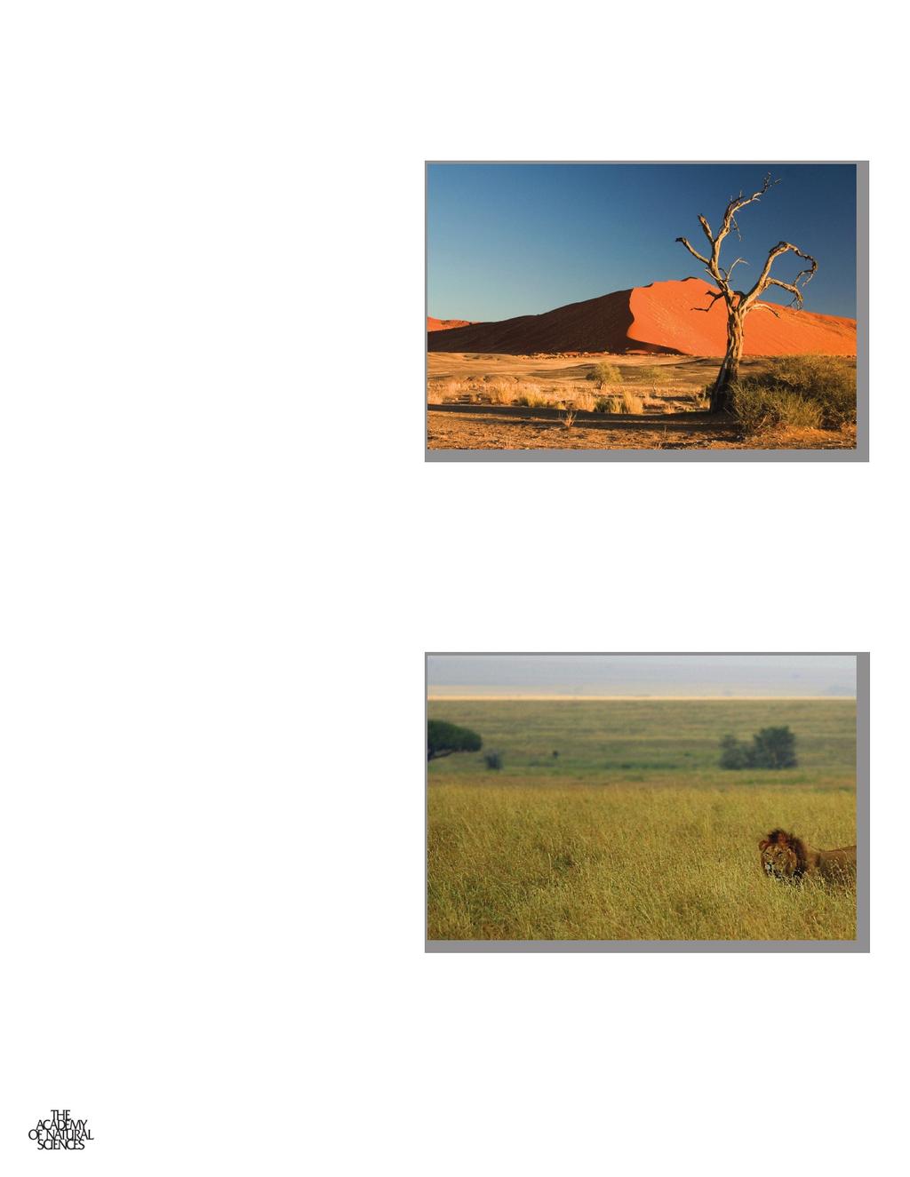 Habitats Below are some of the habitats you will see in African and Asian Hall while doing these activities: Hot Desert: Hot and dry with few plants and sandy soil.
