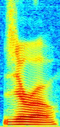 These functions may be oriented in an image, called a spectogram, to give insight on how the spectral characteristics of the signal evolve with time.