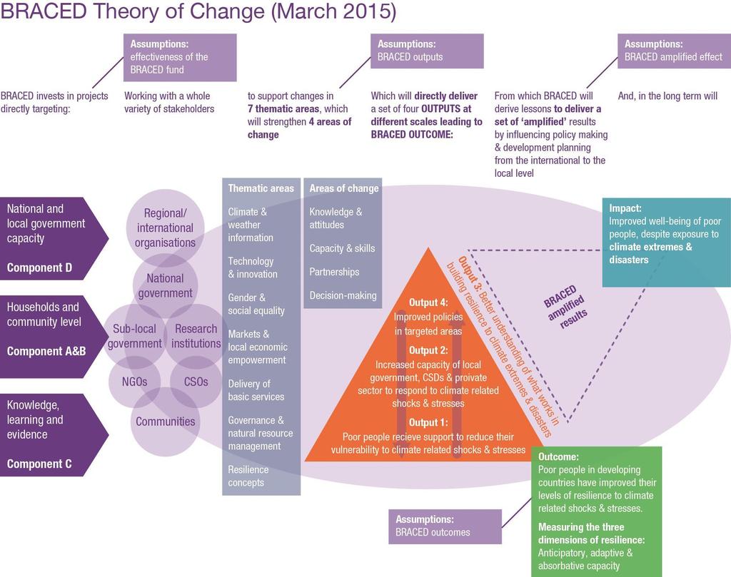Figure 1: BRACED programme theory of change BRACED Monitoring and