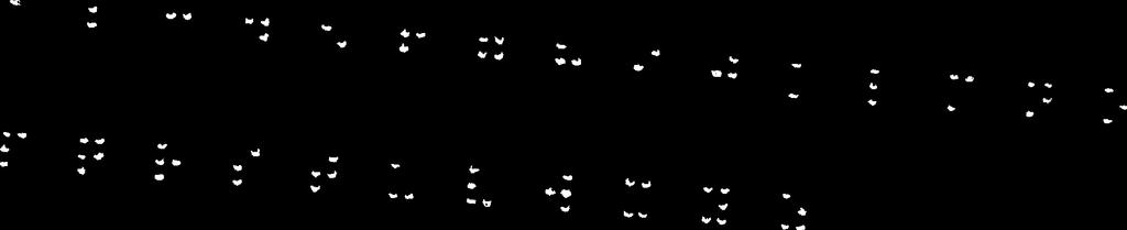 7: Manual Braille s binary Image 1 rotated by an angle 5 o Fig. 8: Braille s binary image corresponding to Image 2 [2] Blenkhorn, P. (1997).
