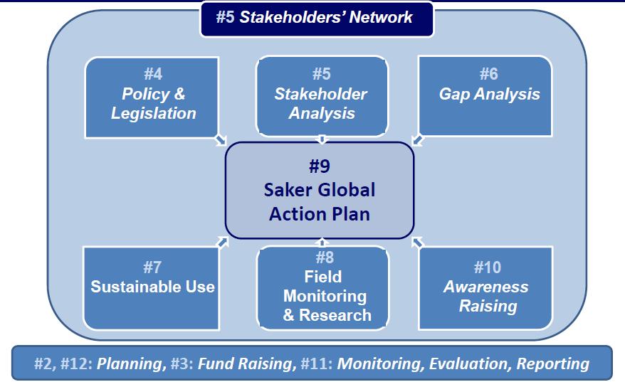 Summary of Phases and Objectives of the 2012-2014 Work Plan Saker Falcon Task Force (approved by the 1 st meeting of the Saker Falcon Task Force) The Mission of the WorkPlan in 2012 2014 is to bring