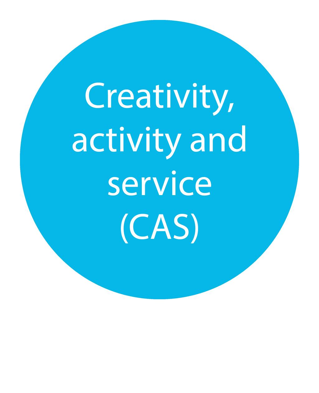 Reflection in CAS: Reflection is central to building a deep and rich experience of CAS.