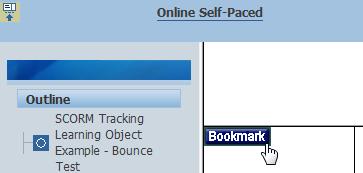 Some custom-developed online content may provide the option to manually mark your place within the training by clicking a Bookmark button.