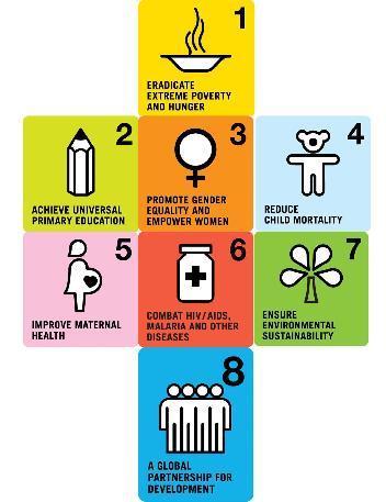 United Nations Millennium Development Goals UN MDGs to be achieved