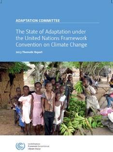 of support Providing guidance on adaptation action and