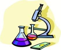 Science Department Integrated Physics and Chemistry Grades: 9 or 10 This is an introductory level course.