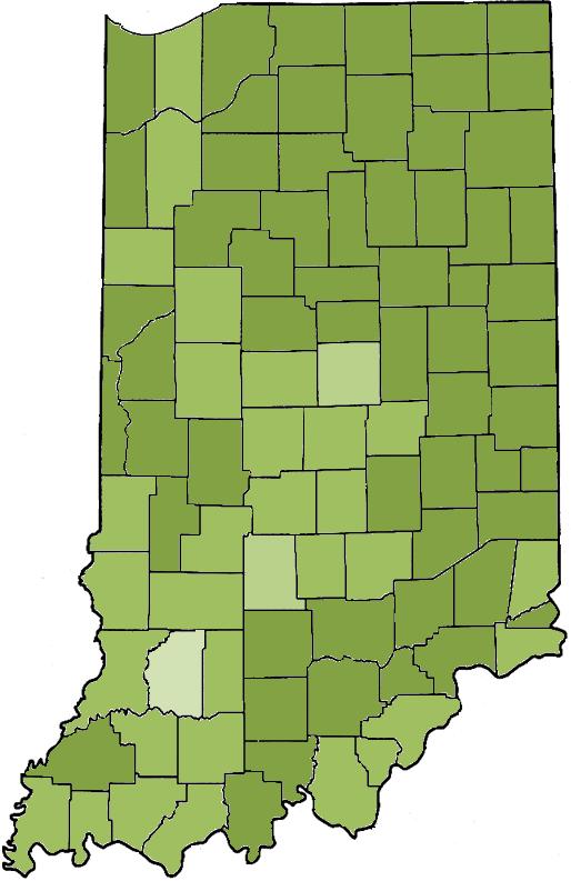 Map of Indiana s 21 Homeless Children and Youth Population The Number of Reported Homeless Children and Youth per County with County Unemployment Figures Lake Cnty 133 South Bend 29 14 19 3 514 215 1