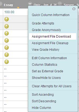 The Grade Attempts function lets you enter in a grade for each student s attempt at the assignment. 4.
