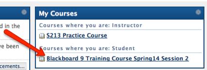View your Practice Course and the Training Course at the same
