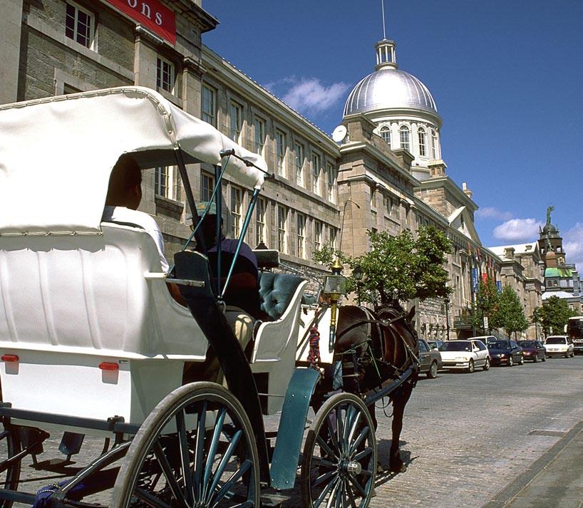 insider interactions Old Montreal Scavenger Hunt For a fun team-building activity that introduces delegates to Montreal s history, we recommend the Montreal Scavenger Hunt.
