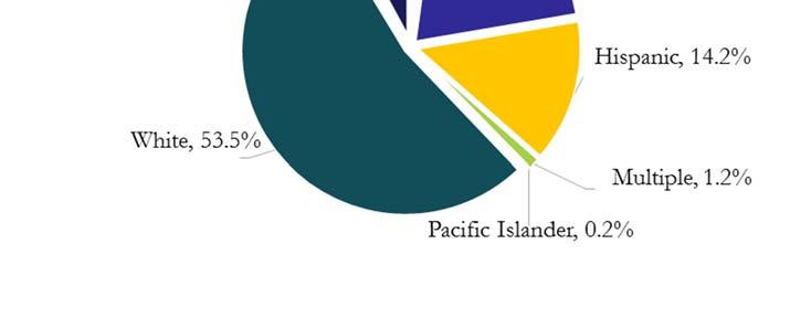 Black Number of Awards by Ethnic Group and Gender Academic Year 2015-16 Native American Asian Hispanic White Multiple Pacific