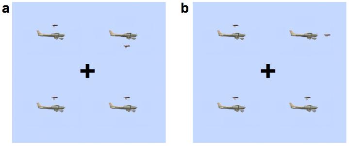 5 standard deviations above the mean for all participants. Materials The materials were 12 pictures of a bird and an airplane (see Figure 2).
