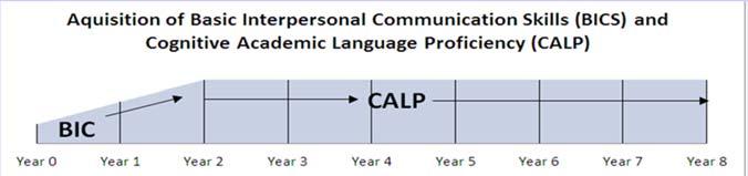 The academic language skills are referred to as CALP. This means the higher level language skills used in the classroom and specific academic areas.