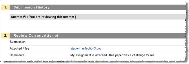 At the top of the Grade Assignments page, you are able to view the Assignment information. If this area is collapsed, click the Assignment name to view the information.