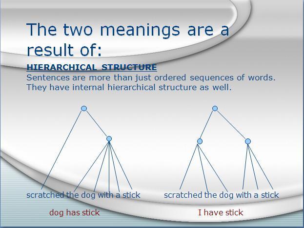 4 5 6 NEXT EXERCISE: MAKE THE IC ANALYSIS OF THESE AMBIGUOUS SENTENCES: NO LIST OF SENTENCES I called her dog.