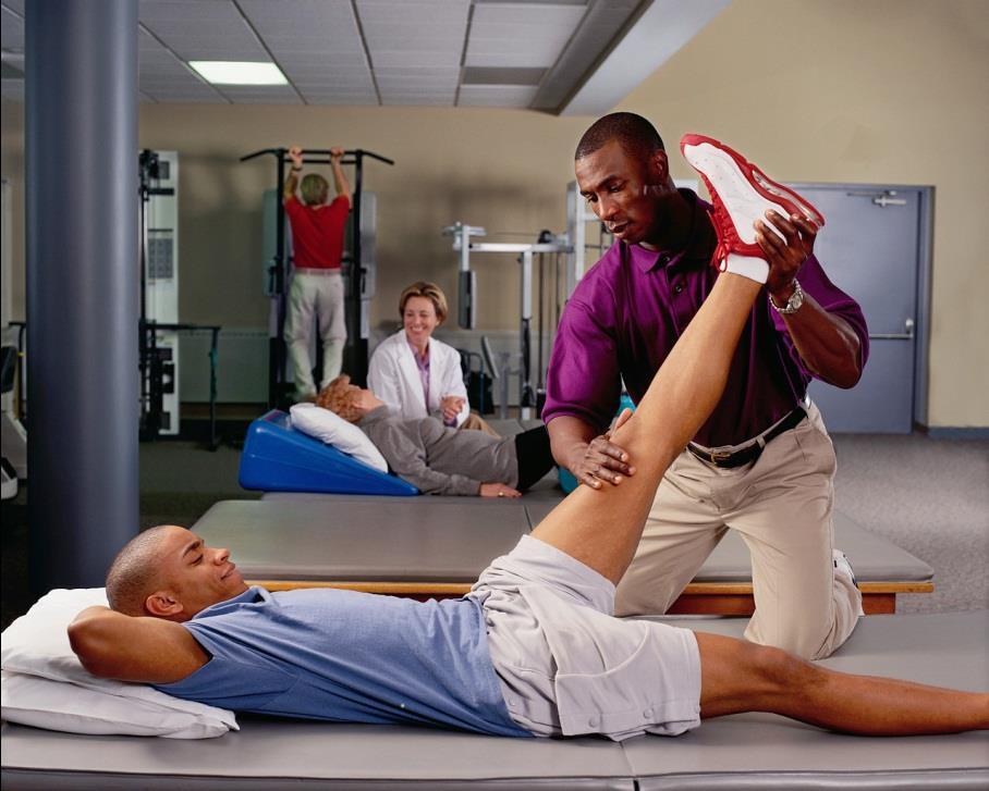 Physical Therapy Profession www.apta.