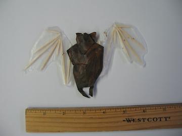 bat. Figure C.