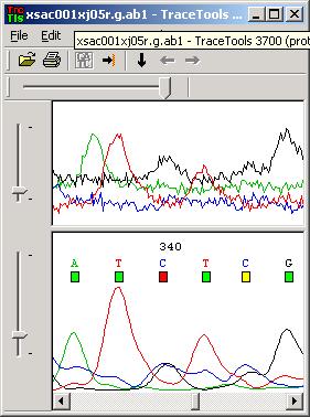 Figure 5: A screenshot of TraceTools for confidence value analysis. Table 1: Confidence values for Phred and TraceTools for the sequence shown in Figure 5.