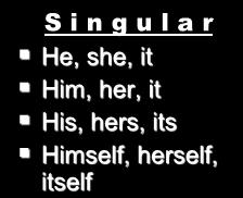 Lizard = singular antecedent its = singular