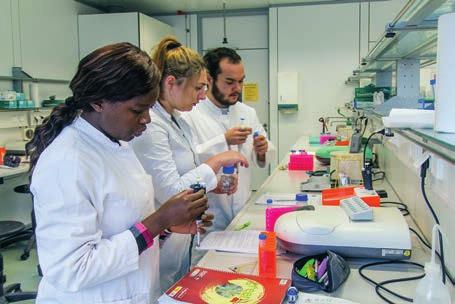 In the second semester, the foundations of biochemistry, e.g. enzymatic catalysis and metabolism, are taught in a core course which consists of lectures and a practical.