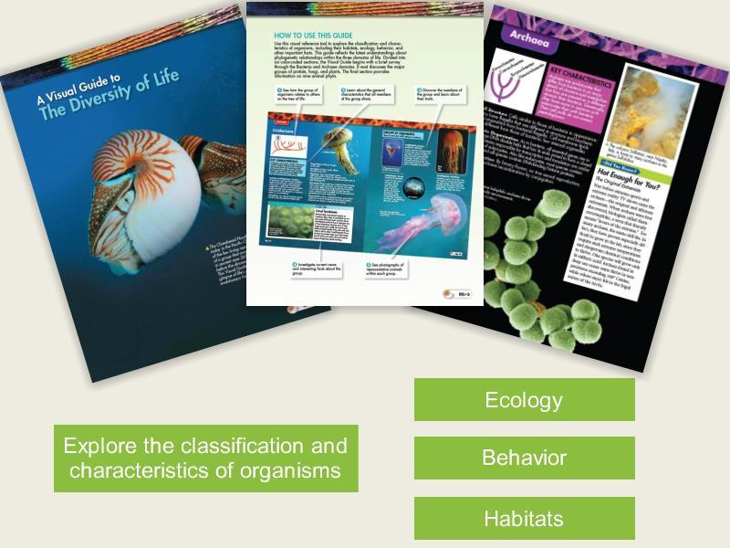 The Diversity of Life Appendix The Diversity of Life appendix is a visual reference tool designed to help students explore the classification and characteristics of organisms, including their
