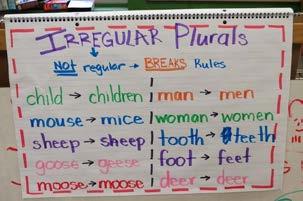 Create an anchor chart depicting the difference between collective nouns, irregular