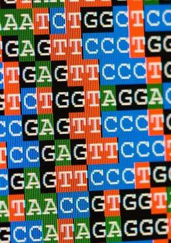 Big Data Genetic/Genomic