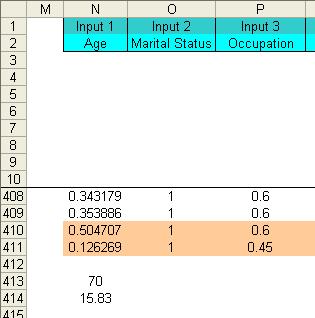 nn_solve will also automatically store the minimum (in cell N414) and the maimum (cell N413) value of the raw data in the last row and first column of the raw data.