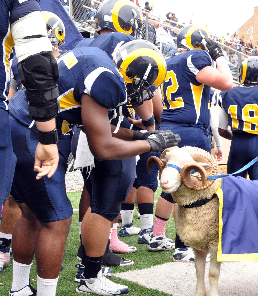 Shepherd University s Fight Song Fight on and