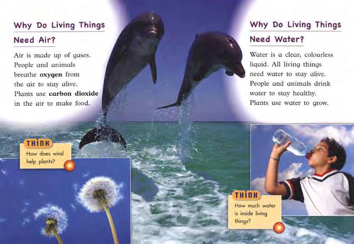Focus: Students explore why living things need air and water. Activity Description: A new screen answers the Think question.