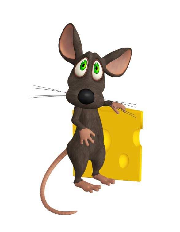First Generation RATs: Orientation RAT: Goal: Review seat-based and online orientation programs to determine if maximum student-college connections are being created.