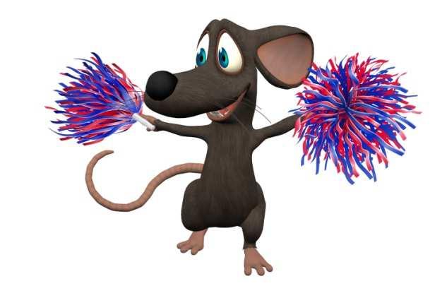 Third Generation RATs: STUDENT RECOGNITION RAT: Goal: To identify, encourage, and reward the individual progress of students toward meeting their educational goals Develop a comprehensive