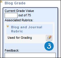 3. Click the View Rubric in Window button to