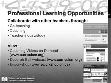 Professional Learning Opportunities Display slide 33.