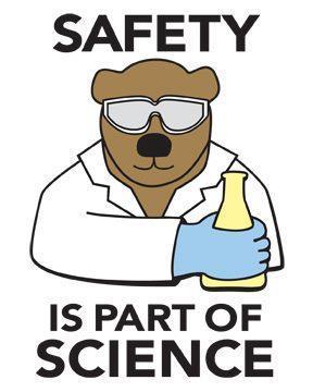 Lab Safety Rules Working in a science laboratory is normally very safe. To ensure your personal safety and the safety of others, you need to reduce the risks associated with laboratory work.