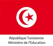 INITIATIVE SUMMARY TUNISIA COUNTRY