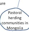 development of CBNRM in Mongolia.
