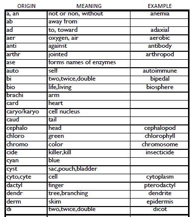 Part 1:SCIENTIFIC ROOT WORDS (aka- horrible 100) -The