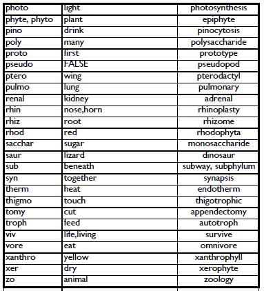 - Below is a list of 100 prefixes and suffixes to