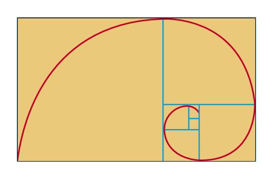 Answer Sheet for The Golden Spiral This is what the students finished project should look like.