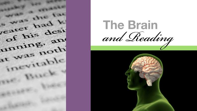 What goes on in your brain when you read?