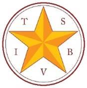 Handout produced and made accessible by Texas School for the Blind & Visually Impaired Outreach Programs Figure 1 TSBVI logo.